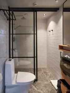 ein Badezimmer mit einem weißen WC und einer Dusche in der Unterkunft Cahkal Hotel in Kilpisjärvi