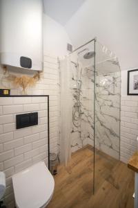 a bathroom with a toilet and a glass shower at Dluga 66 Attic in Gdańsk