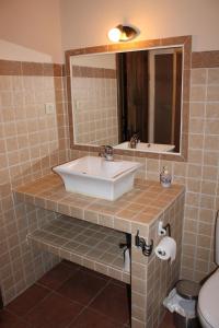 a bathroom with a sink and a mirror and a toilet at Apartamentos La Plaza in Majaelrayo