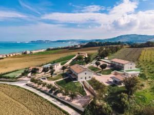 an aerial view of a house in a vineyard at Agriturismo Il Colle Dei Lecci in Ancona