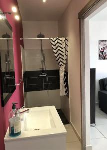 a bathroom with a sink and a mirror at Enonatja Studio - 5min des plages et du centre de St Pierre in Saint-Pierre