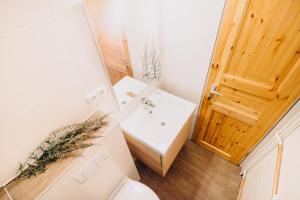 een kleine badkamer met een wastafel en een toilet bij Harz Zeit Braunlage in Braunlage