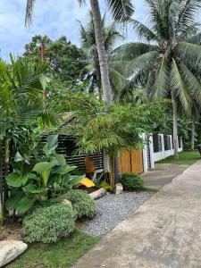 een tuin met palmbomen en een huis bij Concordias Country Resort- Villa Johanna in Lila