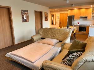 Kuchyňa alebo kuchynka v ubytovaní Apartmány Friends Tatry