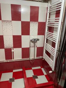 Ένα μπάνιο στο Casa de vacanță M&D