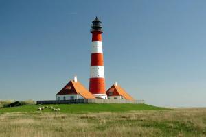 a lighthouse on top of a field with sheep in front at Schäferhof Dircks Fewo 4 in Westerhever