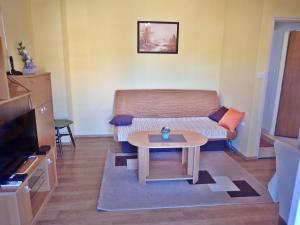 TV a/nebo společenská místnost v ubytování Apartment Putnik