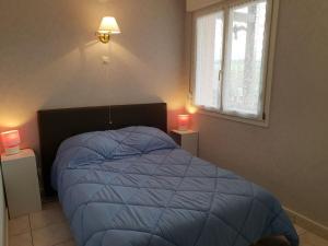 um quarto com uma cama com um edredão azul e uma janela em Gîte Hagécourt, 3 pièces, 4 personnes - FR-1-589-138 em Hagécourt