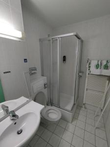 uma casa de banho com um chuveiro, um WC e um lavatório. em Apartmány Almberg Mitterdorf em Mitterfirmiansreut