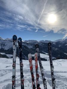 een paar ski's staan in de sneeuw bij Haus Evelin in Kundl