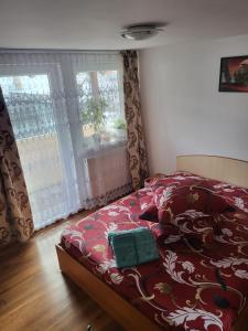 瓦特拉多梅的住宿－Pensiunea Lăcrămioara，一间卧室配有一张红色棉被的床
