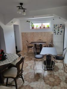 瓦特拉多梅的住宿－Pensiunea Lăcrămioara，一间带桌椅和冰箱的用餐室