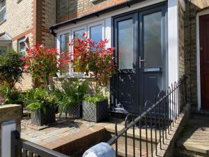 uma porta preta da frente de uma casa com vasos de plantas em Stylish Town Centre House with Garden and Parking Opposite em Bury Saint Edmunds