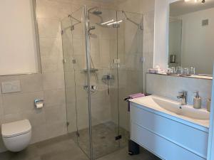 a bathroom with a shower and a sink and a toilet at Ostwall Terrassen Apartment in Bocholt +29 photos