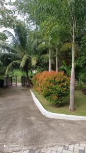 Zahrada ubytování Villa RnG