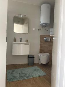a bathroom with a toilet and a sink and a mirror at Villa Laverna Annex in Novalja