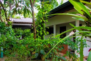Giardino di Galaxy View Homestay Sigiriya