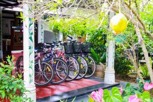 Giardino di Galaxy View Homestay Sigiriya