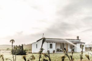 a house in the middle of a field at Bokrivier Cottages in Greyton