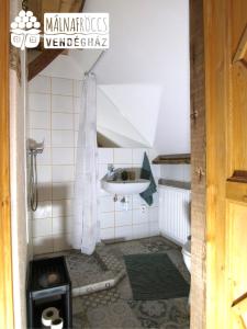 bagno con lavandino e servizi igienici di Málnafröccs Vendégház Nagymaros a Nagymaros