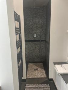 a bathroom with a shower with a walk in shower at Appartement Cannes Centre - Palais du Festival in Cannes