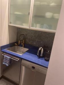 a kitchen with a sink and a counter top at Appartement Cannes Centre - Palais du Festival in Cannes