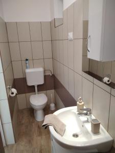 a small bathroom with a toilet and a sink at EszE Vendégszoba in Tata