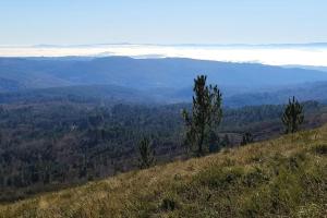 伊里霍的住宿－Casa Carmiña: Casa para pequeños grupos en el corazón de Galicia，山坡上,享有山谷的树木景色