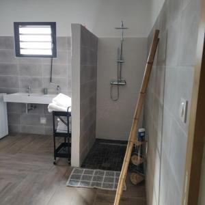 La salle de bains est pourvue d'une douche et d'un lavabo. dans l'établissement Les Villas RIO Saint André, à Saint-André