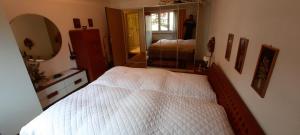 a bedroom with two beds and a mirror at Ferienwohnung nähe Madrisa in Klosters