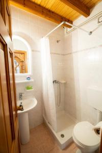 W łazience znajduje się prysznic, toaleta i umywalka. w obiekcie Chrysanthe [ Portaria ] Traditional Pelion House w mieście Portariá