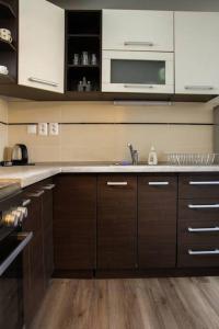 eine Küche mit Holzschränken und einem Spülbecken darin in der Unterkunft Apartmán Roosevelt in Banská Bystrica