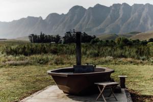 a small boat sitting in a field with a stool at Bokrivier Cottages in Greyton