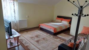 a bedroom with a bed and a tv and a couch at Casa de vacanta La Ticu in Cîndeşti