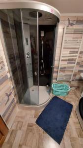 a shower in a room with a blue rug at Casa de vacanta La Ticu in Cîndeşti +44 photos