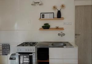 a kitchen with a stove and a sink at Apartmán 551 in Litomyšl
