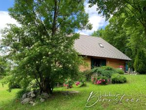 Vonkajšia záhrada v ubytovaní Villa Bornstein