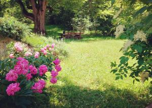 Vonkajšia záhrada v ubytovaní Villa Bornstein