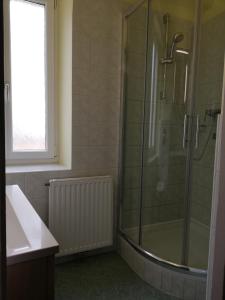 a bathroom with a shower with a glass door at Ferienwohnung Schuhhaus Ganster in Mariazell