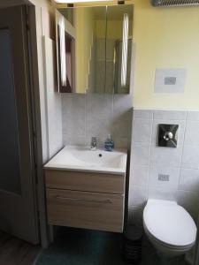 Koupelna v ubytování Ferienwohnung Schuhhaus Ganster