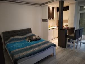 um quarto com uma cama, uma secretária e uma cozinha em VIN Studio em Kruševac