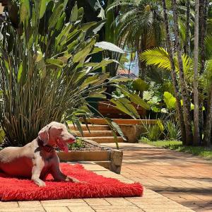 Zahrada ubytování Hotel Casa Paradiso Guarujá