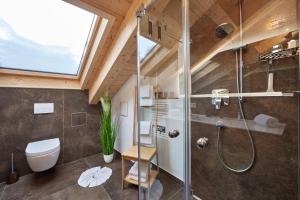 a bathroom with a shower and a toilet in a room at Chalet Wild in Garmisch-Partenkirchen
