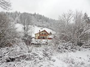 a house covered in snow with trees and bushes at Casa Silvia in Gârda de Sus