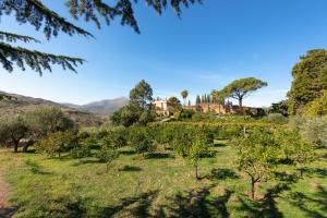 una piantagione di meli in un frutteto di Baglio Scannale con piscina by Wonderful Italy a Scillato