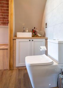 a bathroom with a white toilet and a sink at Mountain View in Llanfair Caereinion