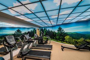 Fitness centrum a/nebo fitness zařízení v ubytování Hotel Restaurant Mont Champ du Feu