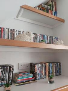 een boekenplank met dvd's en boeken erop bij Y Llew Bach, the tiny house in Gwytherin