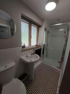 a bathroom with a toilet and a sink and a shower at The Hen Den in Hopton Cangeford