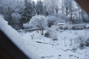 vistas a un campo cubierto de nieve con árboles en The Hen Den en Hopton Cangeford